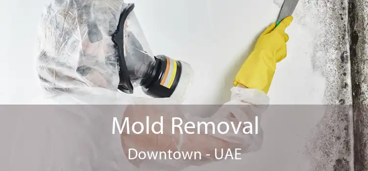  Mold Removal Downtown - UAE