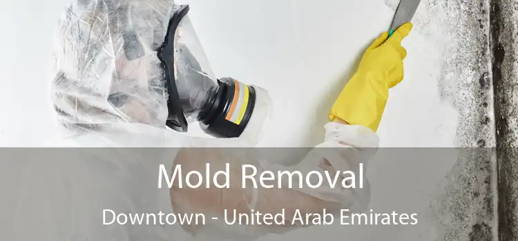 Mold Removal Downtown - United Arab Emirates