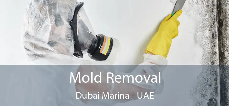  Mold Removal Dubai Marina - UAE