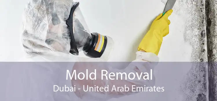 Mold Removal Dubai - United Arab Emirates