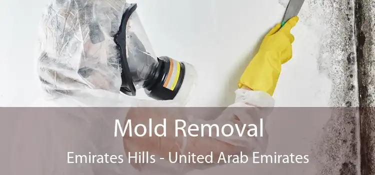 Mold Removal Emirates Hills - United Arab Emirates