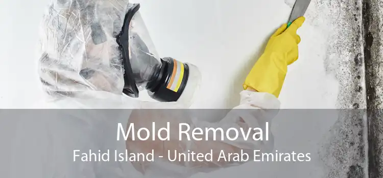 Mold Removal Fahid Island - United Arab Emirates