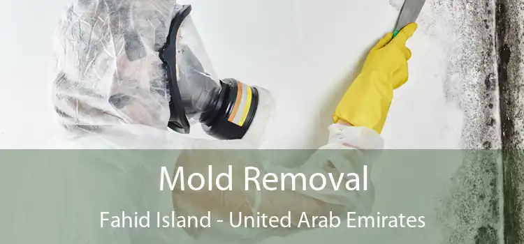 Mold Removal Fahid Island - United Arab Emirates