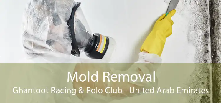 Mold Removal Ghantoot Racing & Polo Club - United Arab Emirates