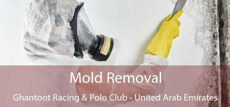 Mold Removal Ghantoot Racing & Polo Club - United Arab Emirates