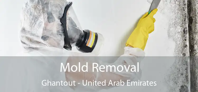 Mold Removal Ghantout - United Arab Emirates