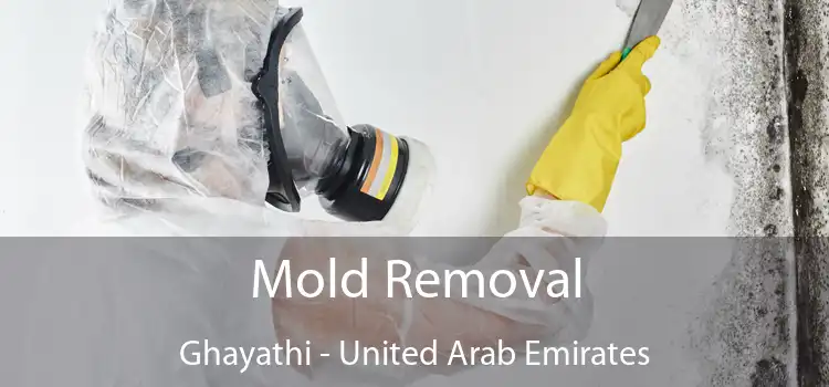 Mold Removal Ghayathi - United Arab Emirates