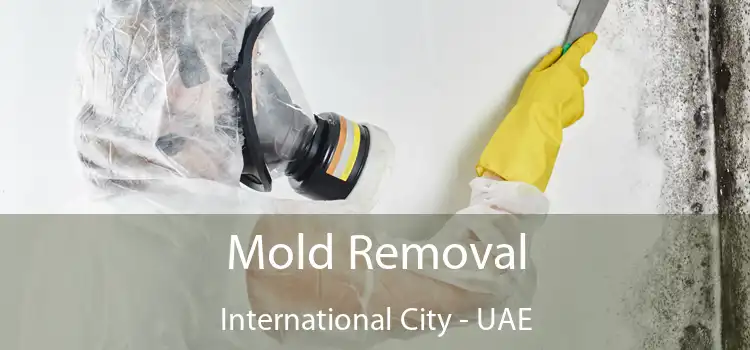  Mold Removal International City - UAE