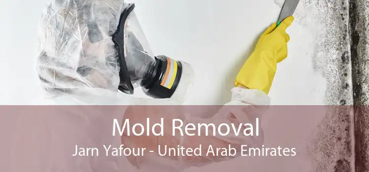 Mold Removal Jarn Yafour - United Arab Emirates