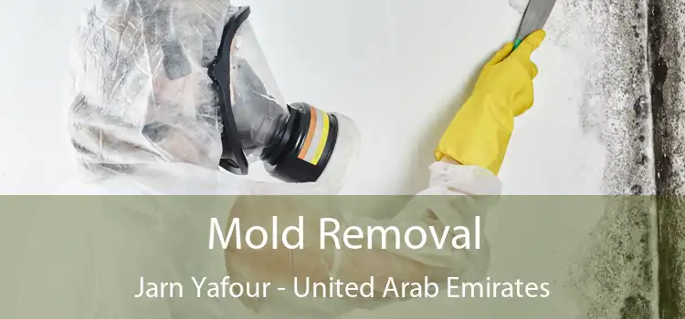 Mold Removal Jarn Yafour - United Arab Emirates