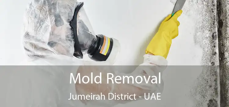  Mold Removal Jumeirah District - UAE
