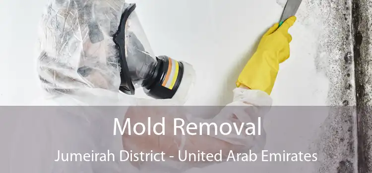 Mold Removal Jumeirah District - United Arab Emirates