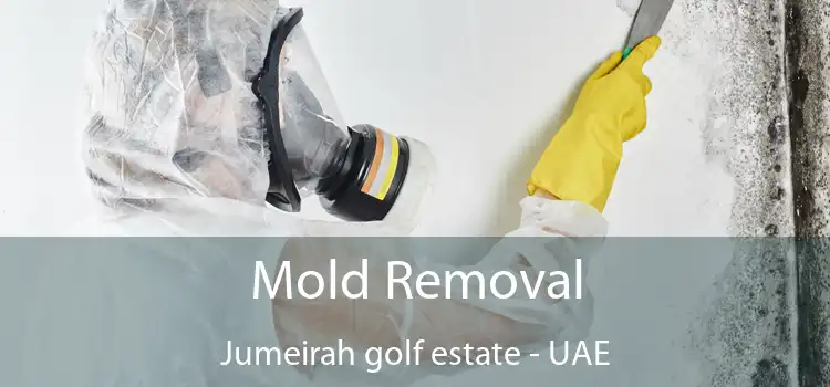 Mold Removal Jumeirah Golf Estate - UAE
