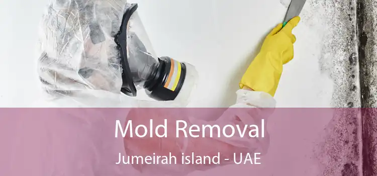  Mold Removal Jumeirah Island - UAE