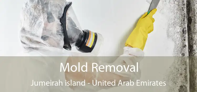 Mold Removal Jumeirah island - United Arab Emirates