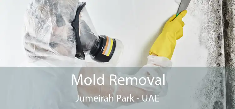  Mold Removal Jumeirah Park - UAE