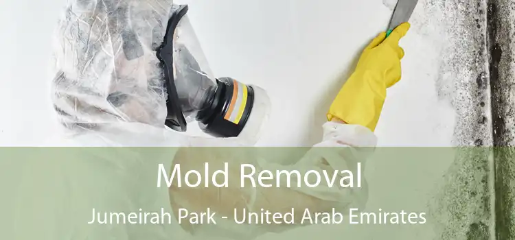 Mold Removal Jumeirah Park - United Arab Emirates