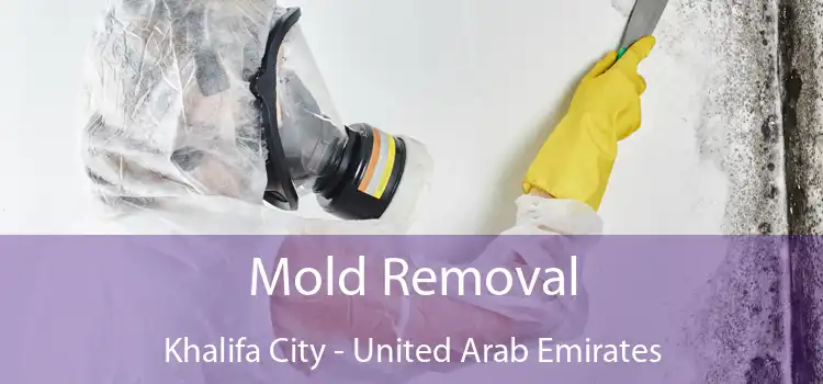 Mold Removal Khalifa City - United Arab Emirates