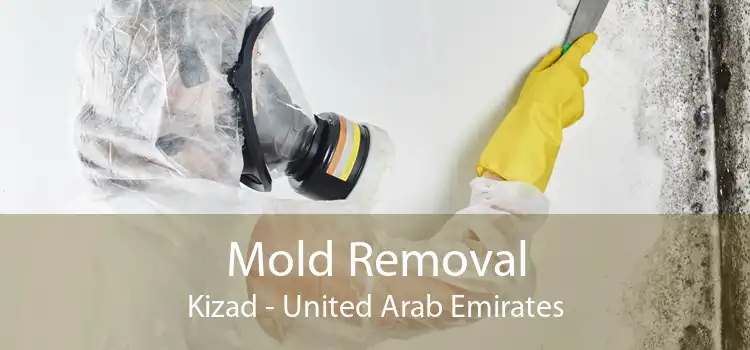 Mold Removal Kizad - United Arab Emirates