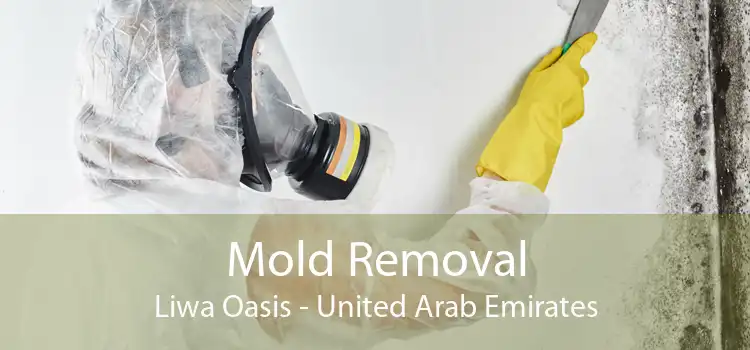 Mold Removal Liwa Oasis - United Arab Emirates