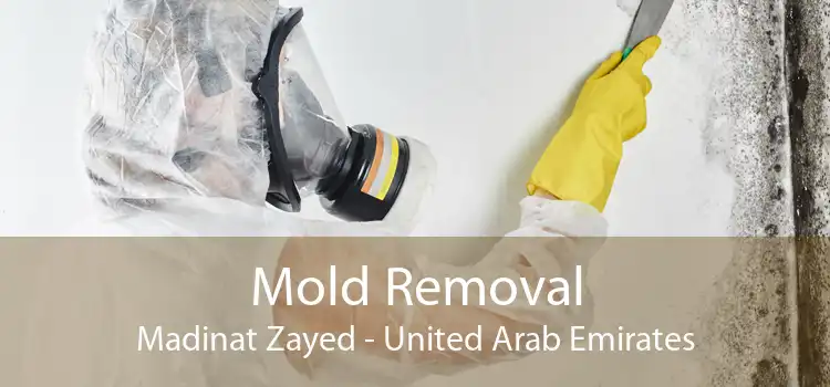 Mold Removal Madinat Zayed - United Arab Emirates