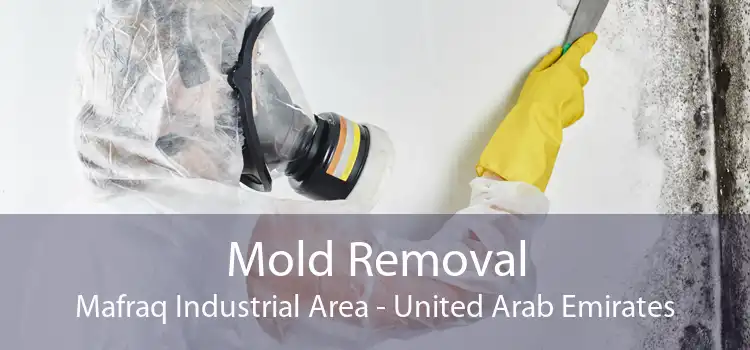 Mold Removal Mafraq Industrial Area - United Arab Emirates