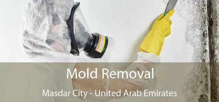 Mold Removal Masdar City - United Arab Emirates