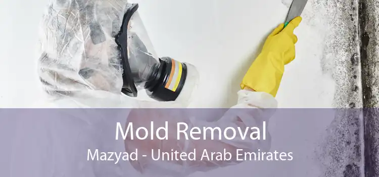 Mold Removal Mazyad - United Arab Emirates