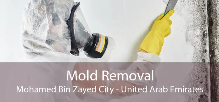 Mold Removal Mohamed Bin Zayed City - United Arab Emirates