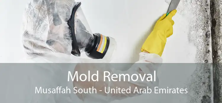 Mold Removal Musaffah South - United Arab Emirates