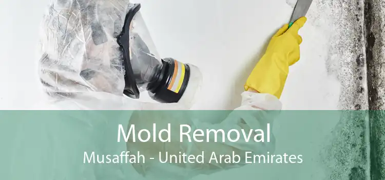 Mold Removal Musaffah - United Arab Emirates
