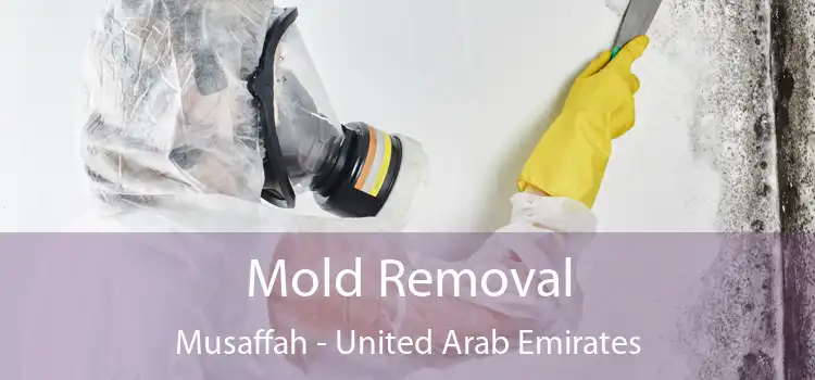 Mold Removal Musaffah - United Arab Emirates