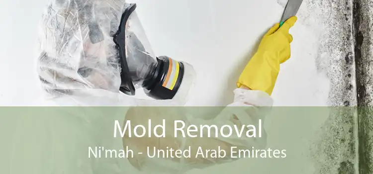 Mold Removal Ni'mah - United Arab Emirates