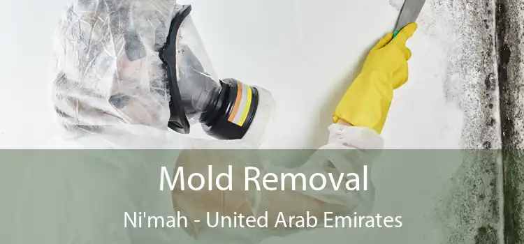 Mold Removal Ni'mah - United Arab Emirates