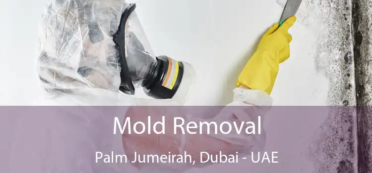  Mold Removal Palm Jumeirah, Dubai - UAE