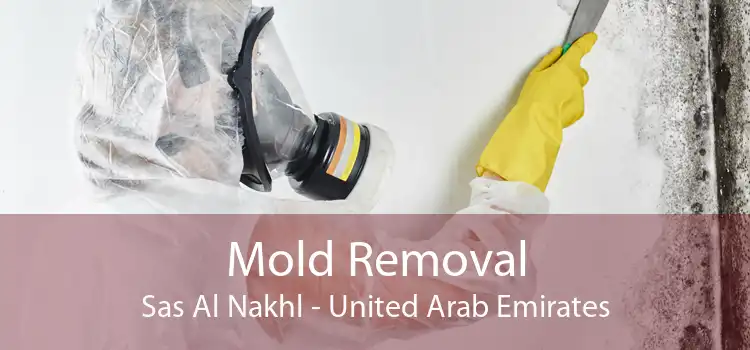 Mold Removal Sas Al Nakhl - United Arab Emirates