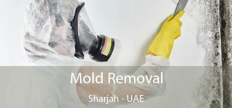 Mold Removal Sharjah - UAE