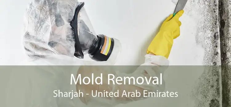 Mold Removal Sharjah - United Arab Emirates