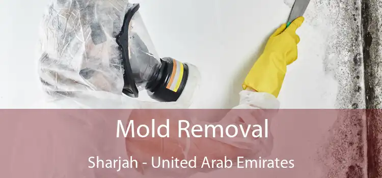 Mold Removal Sharjah - United Arab Emirates