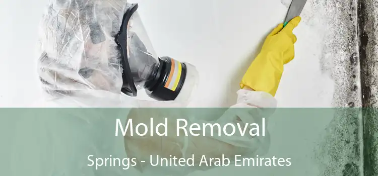 Mold Removal Springs - United Arab Emirates