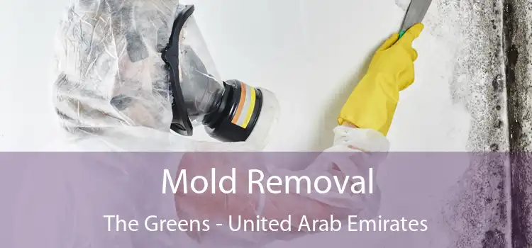 Mold Removal The Greens - United Arab Emirates