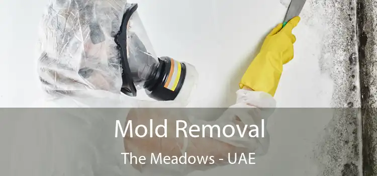  Mold Removal The Meadows - UAE