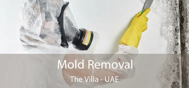  Mold Removal The Villa - UAE