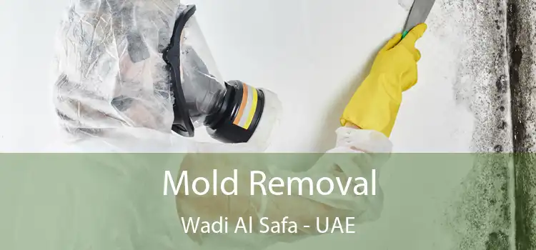  Mold Removal Wadi Al Safa - UAE