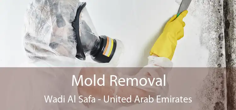 Mold Removal Wadi Al Safa - United Arab Emirates