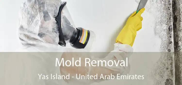 Mold Removal Yas Island - United Arab Emirates