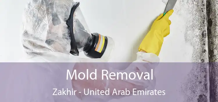 Mold Removal Zakhir - United Arab Emirates