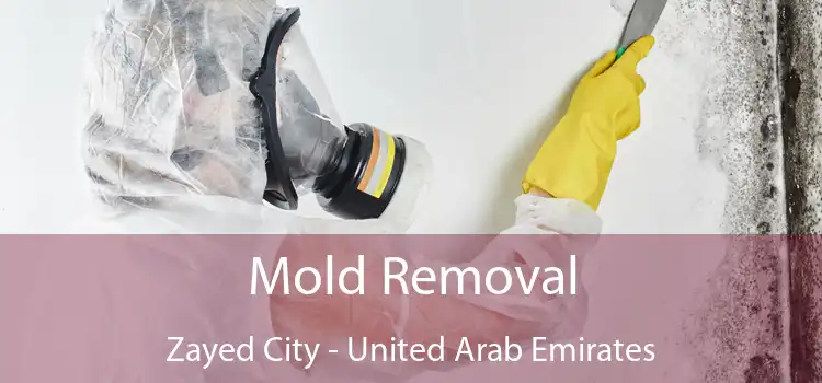 Mold Removal Zayed City - United Arab Emirates