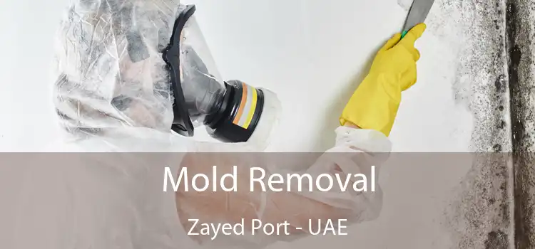  Mold Removal Zayed Port - UAE