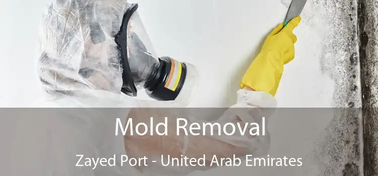 Mold Removal Zayed Port - United Arab Emirates